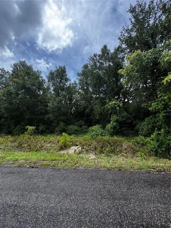$18,000 | 0 Southeast 115th Place Road, Ocklawaha, FL 32179