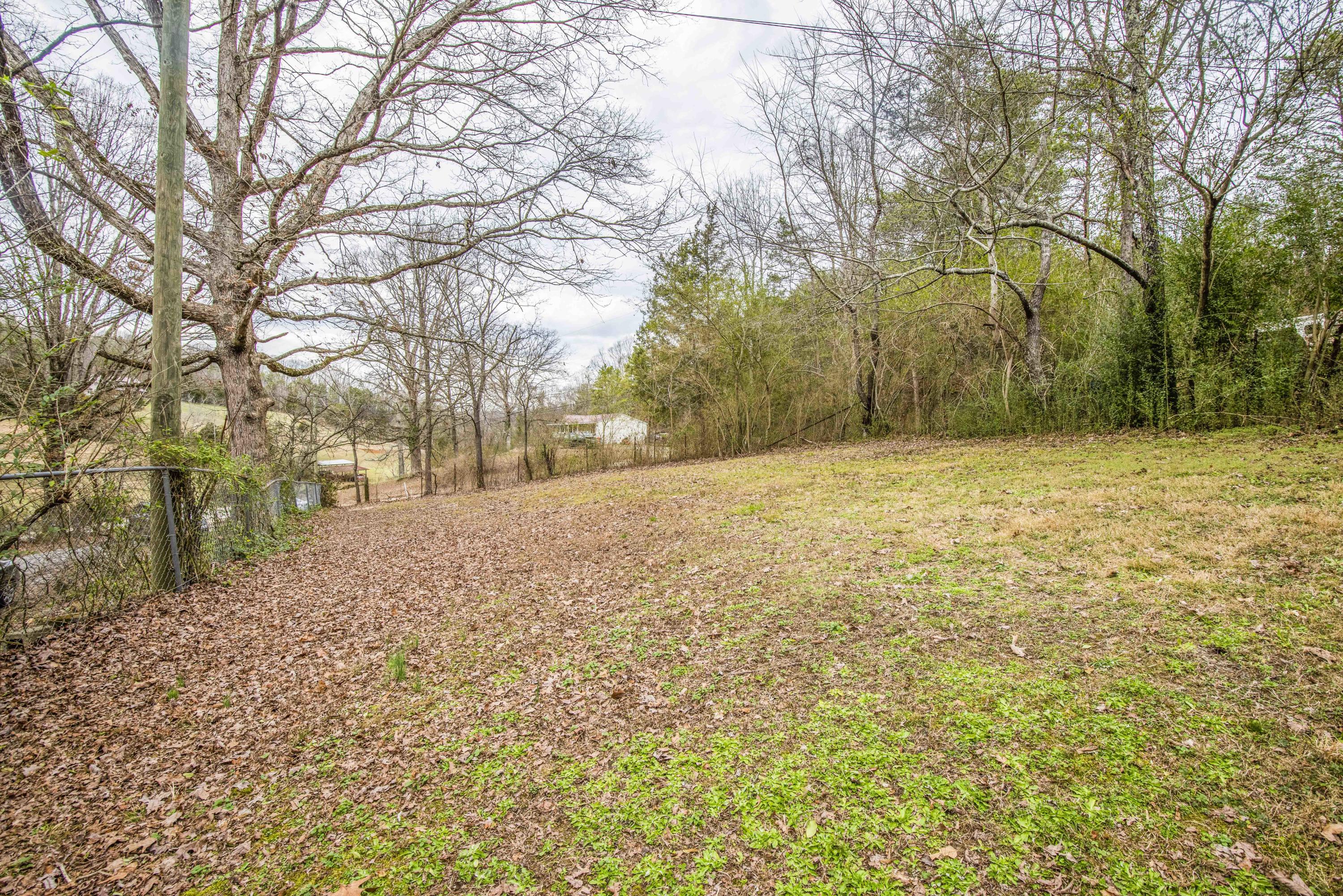 11954 Blue Springs Road Sweetwater, TN 37874 - Photo 22 of 28 yard 4_1