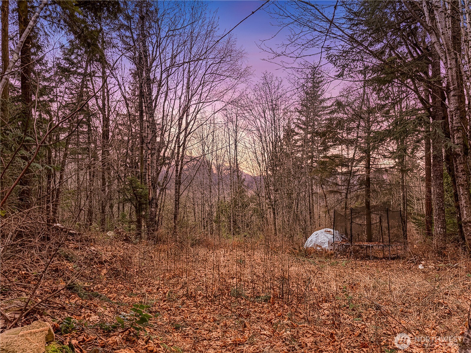 5450 Reese Hill Road Sumas, WA 98295 - Photo 24 of 33 a backyard of a house with lots of green space