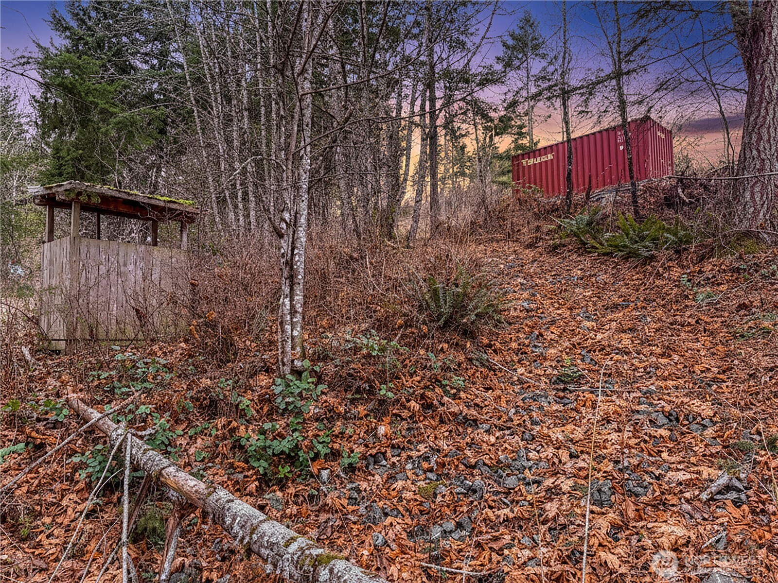 5450 Reese Hill Road Sumas, WA 98295 - Photo 25 of 33 a view of a backyard with large trees