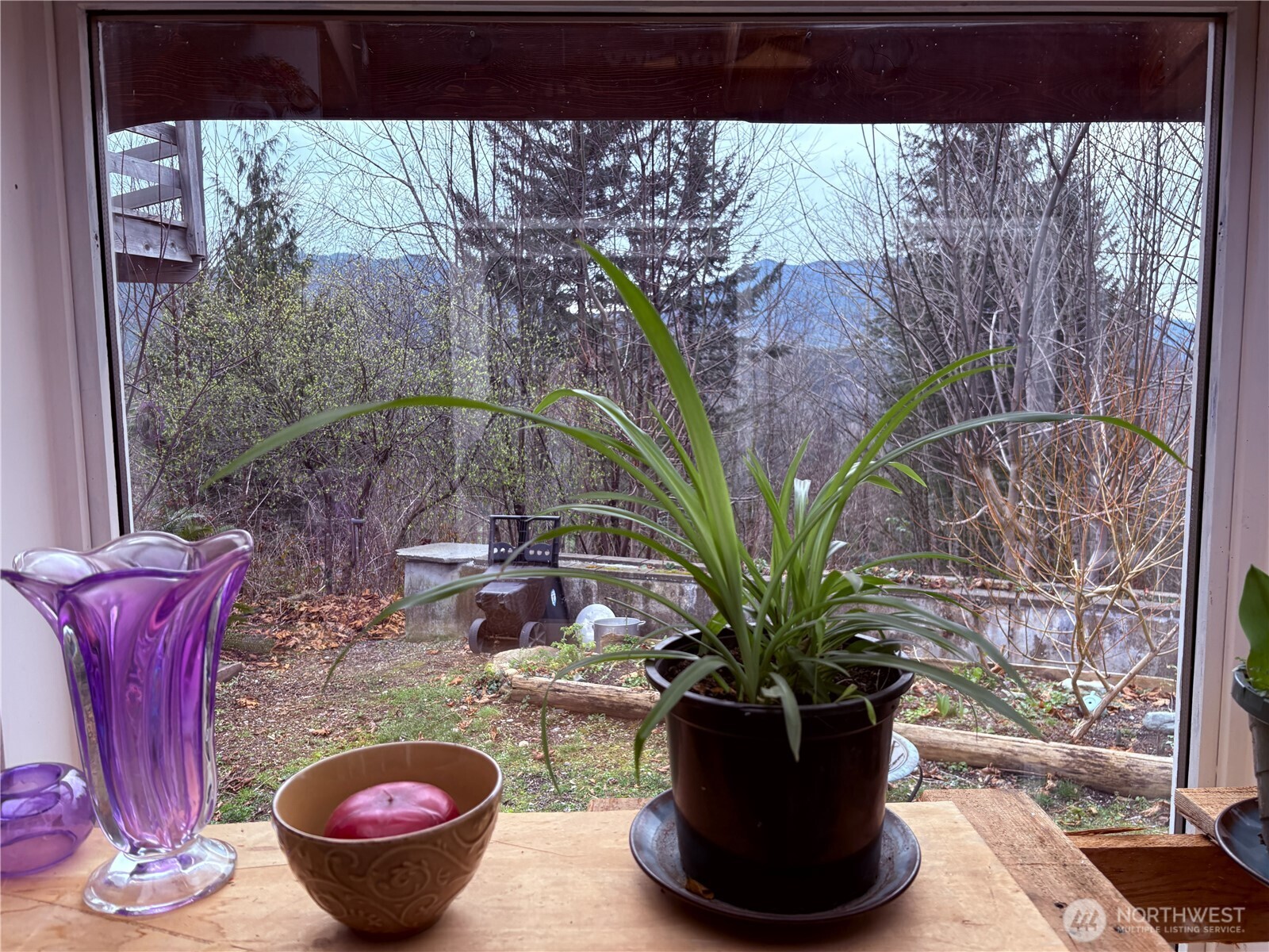5450 Reese Hill Road Sumas, WA 98295 - Photo 28 of 33 a view of a vase of flowers sitting on a table