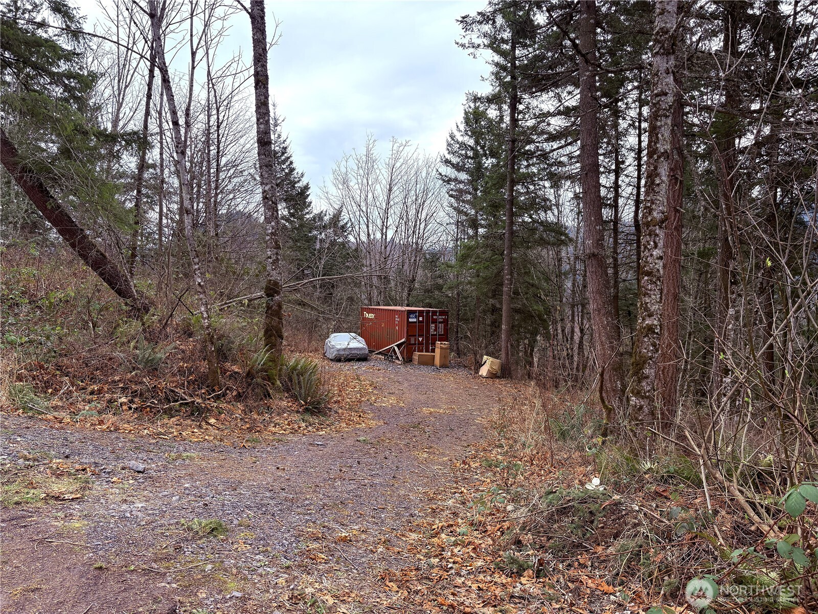 5450 Reese Hill Road Sumas, WA 98295 - Photo 30 of 33 a view of a forest filled with trees