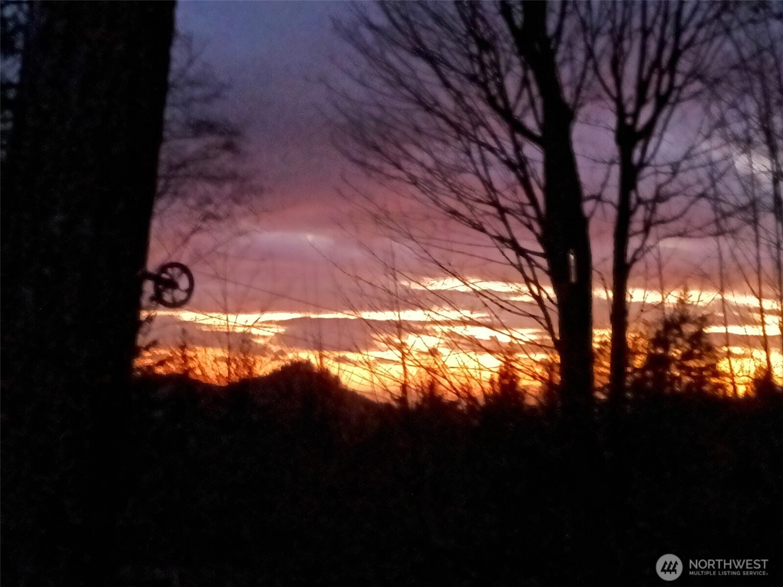 5450 Reese Hill Road Sumas, WA 98295 - Photo 3 of 33