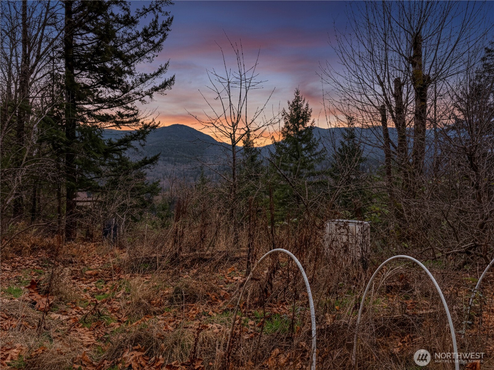 5450 Reese Hill Road Sumas, WA 98295 - Photo 31 of 33 a view of a backyard