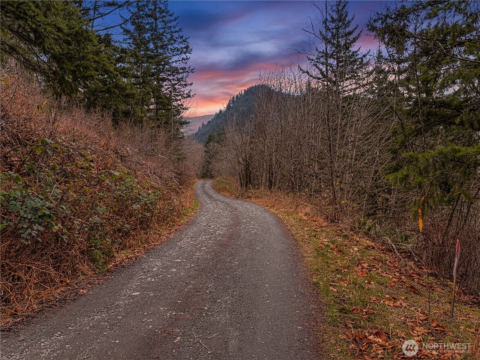 5450 Reese Hill Road Sumas, WA 98295 - Photo 33 of 33 a view of a forest with trees in the background