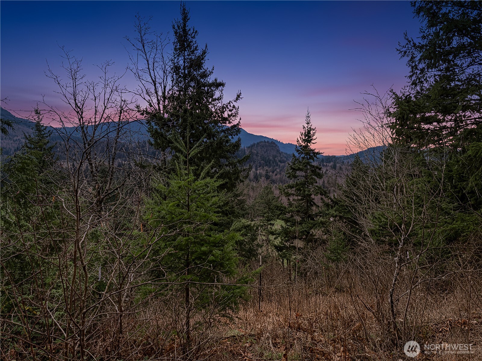 5450 Reese Hill Road Sumas, WA 98295 - Photo 5 of 33 a view of a house in a forest