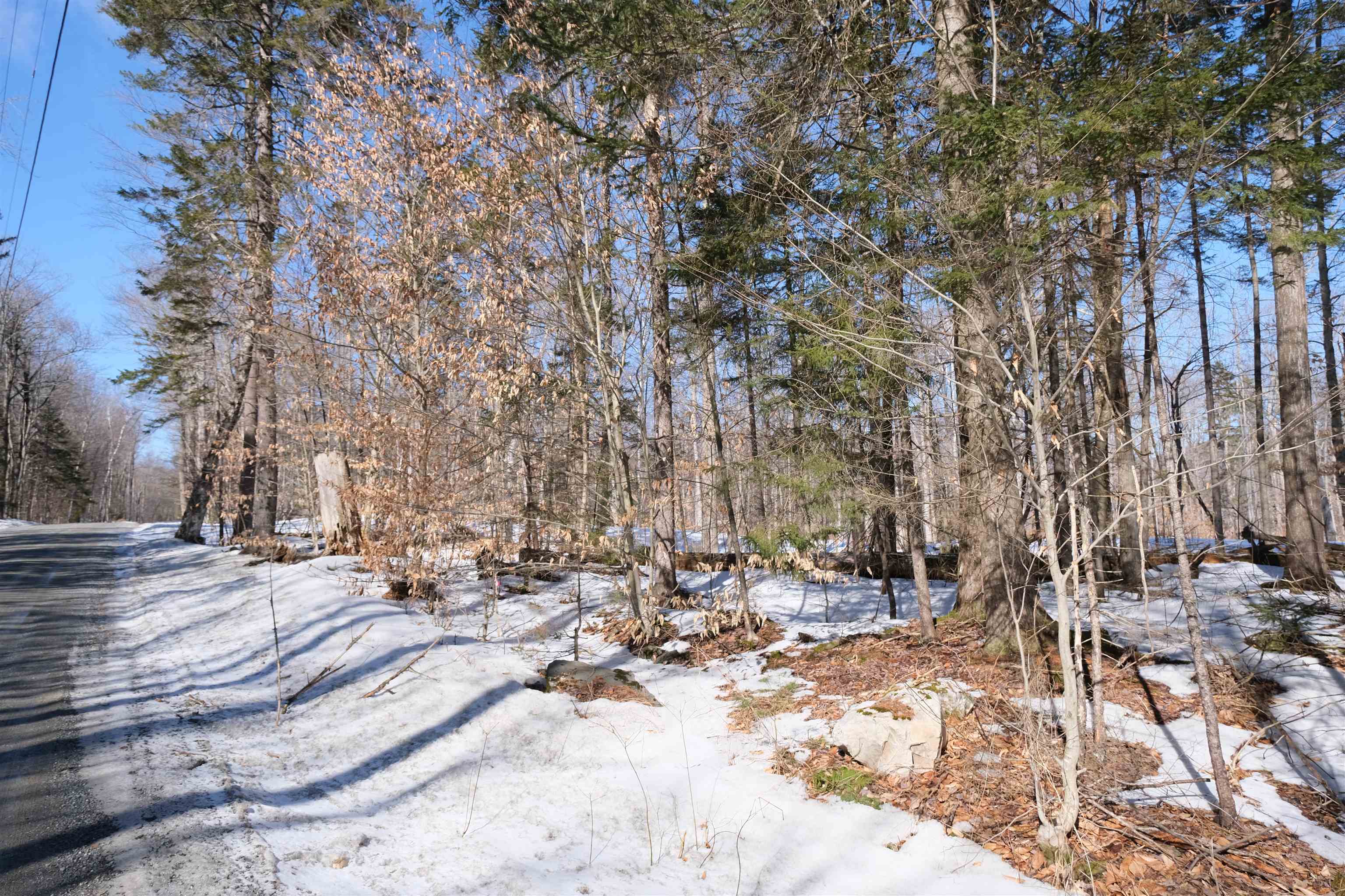 0 Chapman Road Ludlow, VT 05149 - Photo 21 of 25 Gallery Image 21