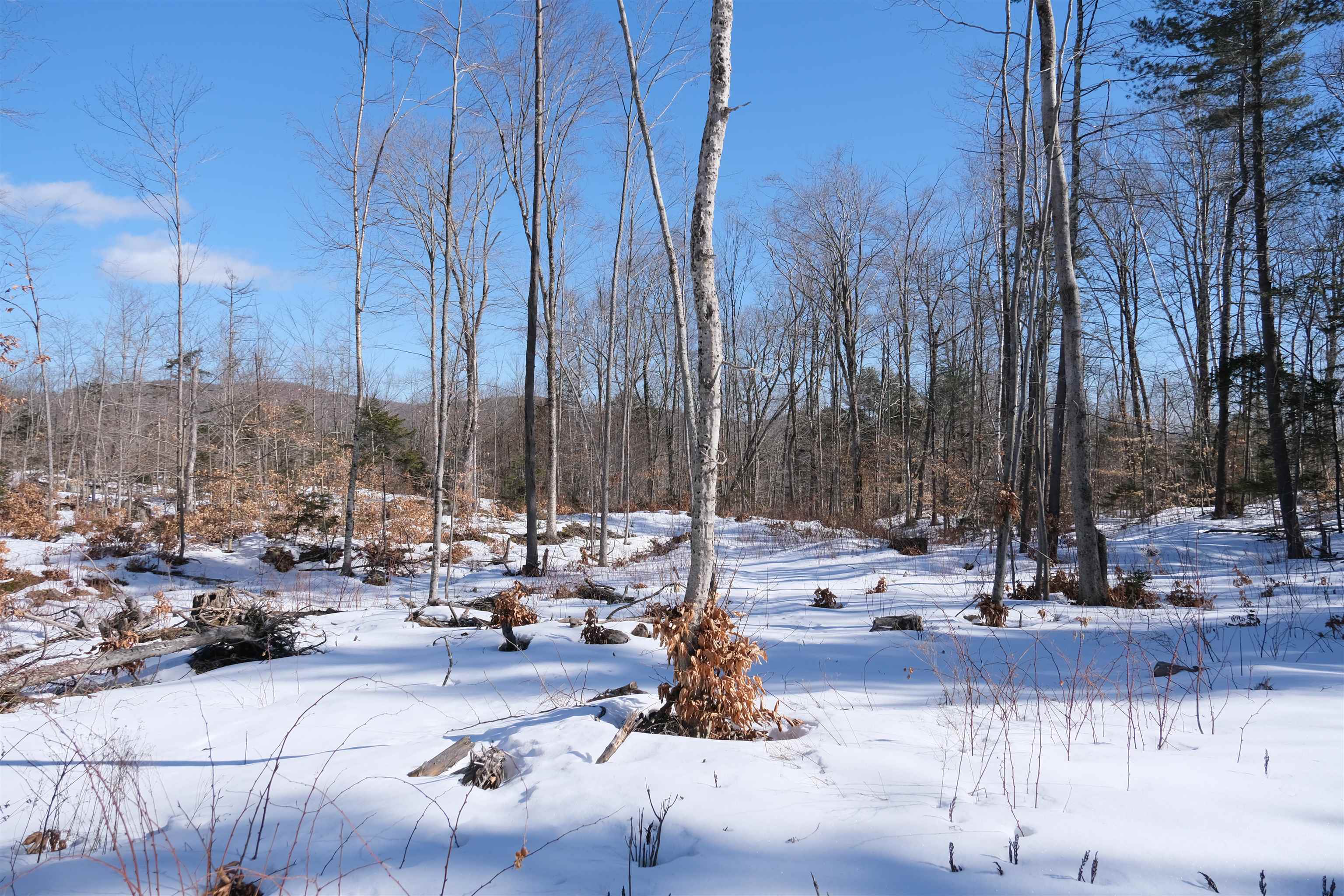 0 Chapman Road Ludlow, VT 05149 - Photo 22 of 25 Gallery Image 22