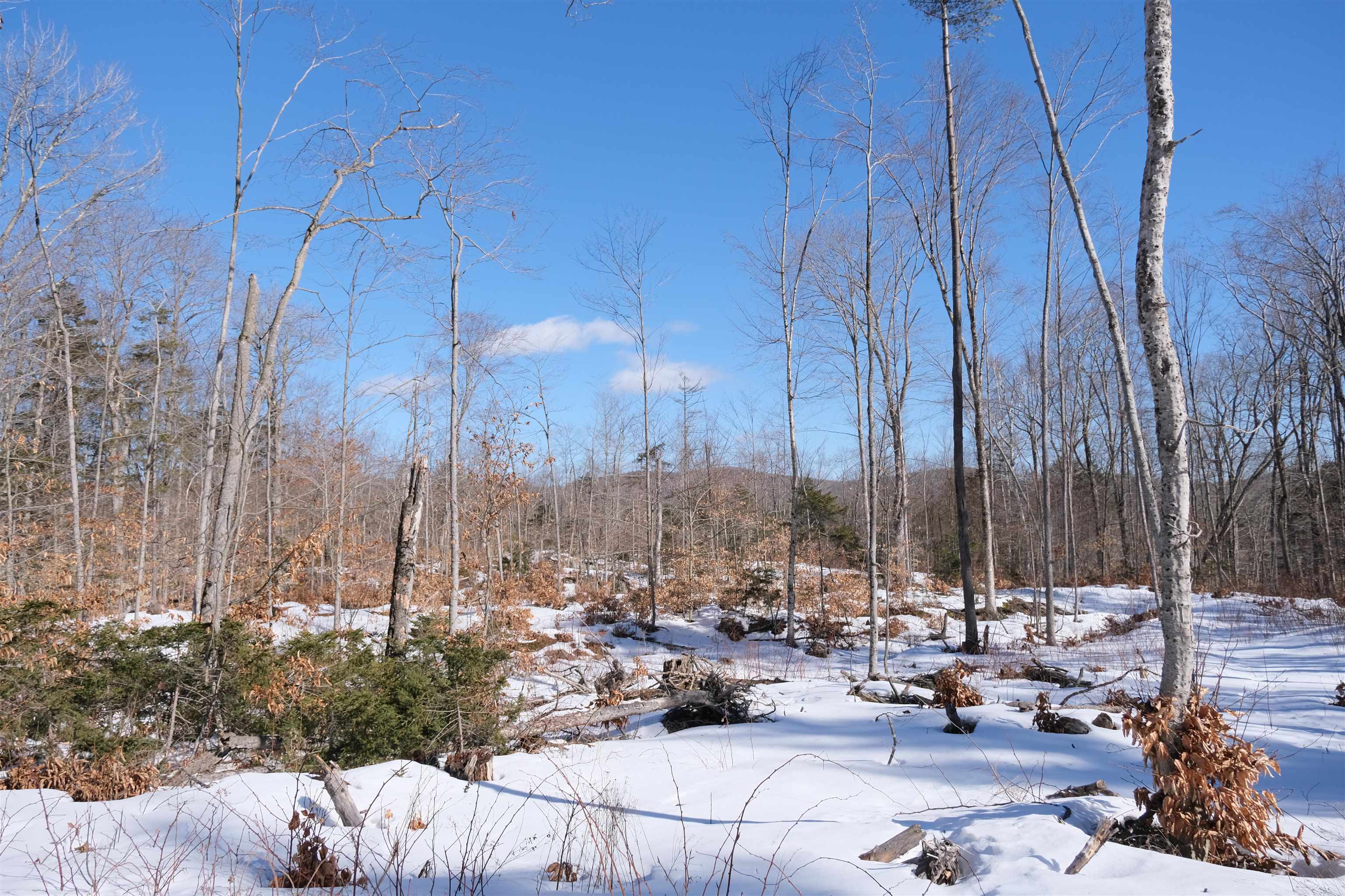 0 Chapman Road Ludlow, VT 05149 - Photo 23 of 25 Gallery Image 23