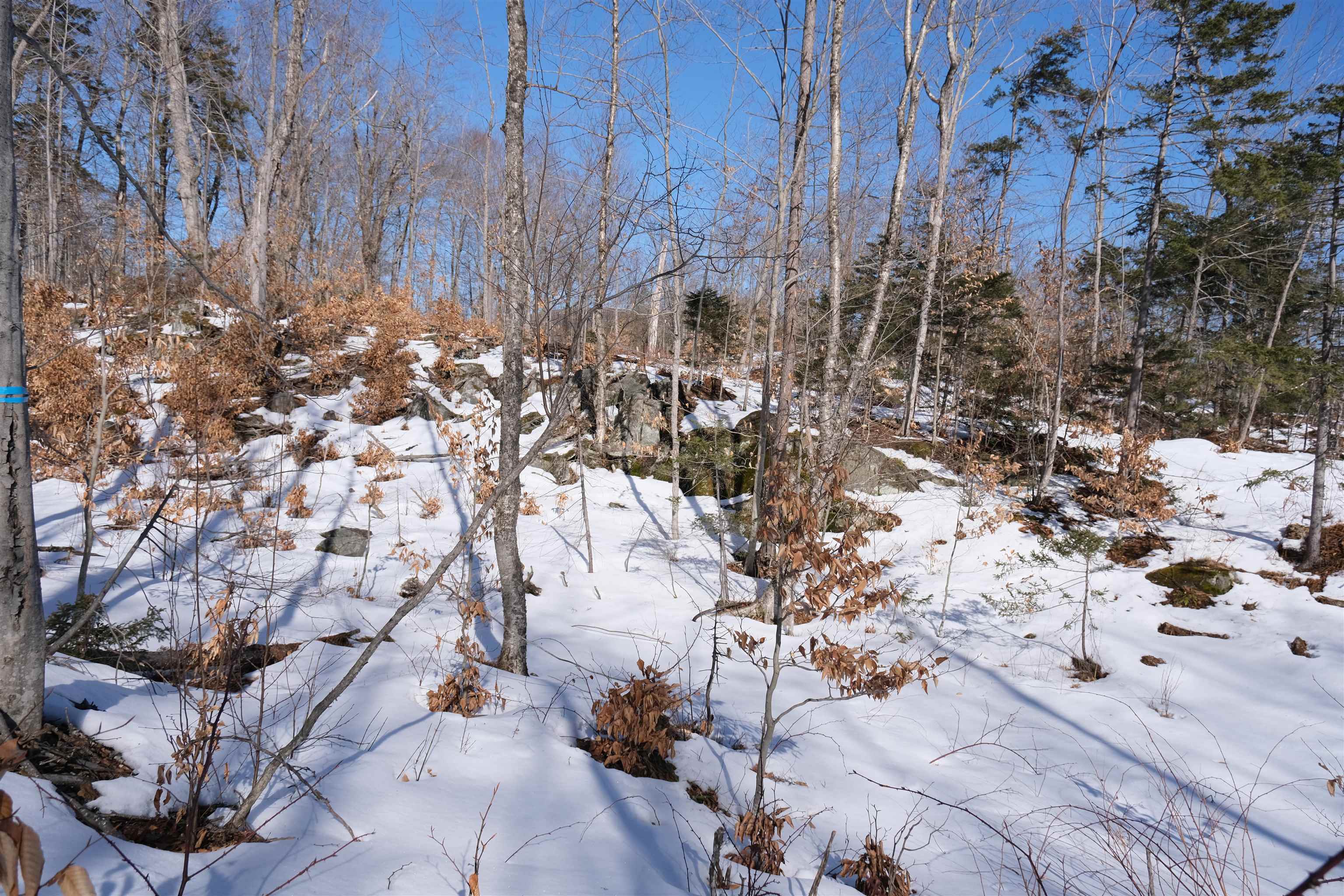 0 Chapman Road Ludlow, VT 05149 - Photo 24 of 25 Gallery Image 24