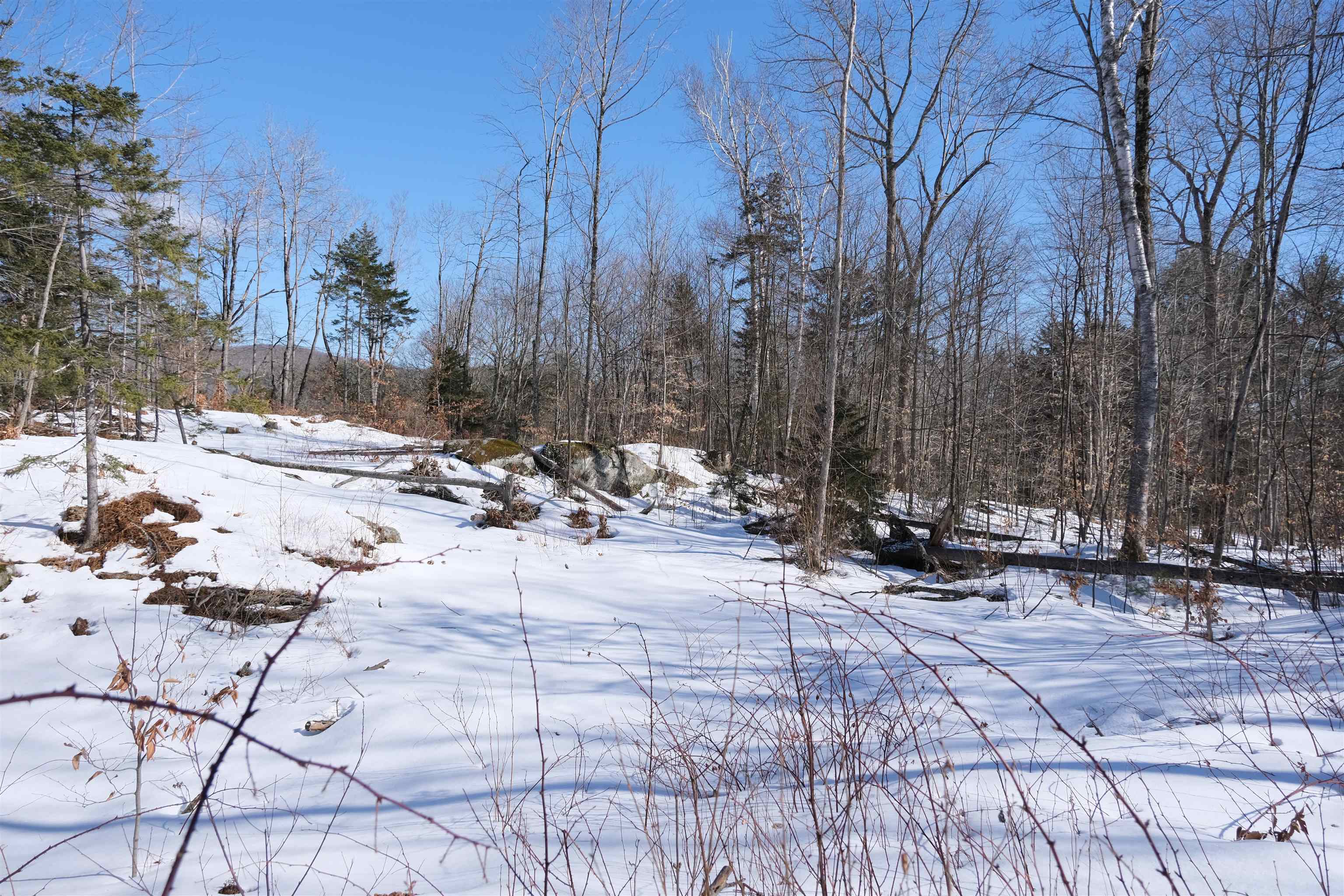 0 Chapman Road Ludlow, VT 05149 - Photo 25 of 25 Gallery Image 25