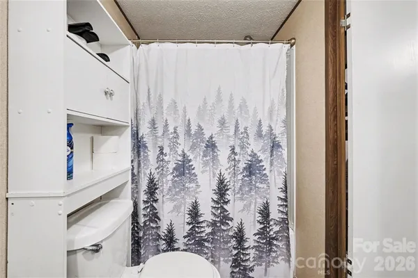 a bathroom with a shower curtain and a toilet