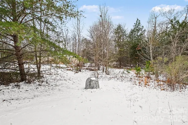 a view of a yard covered in snow