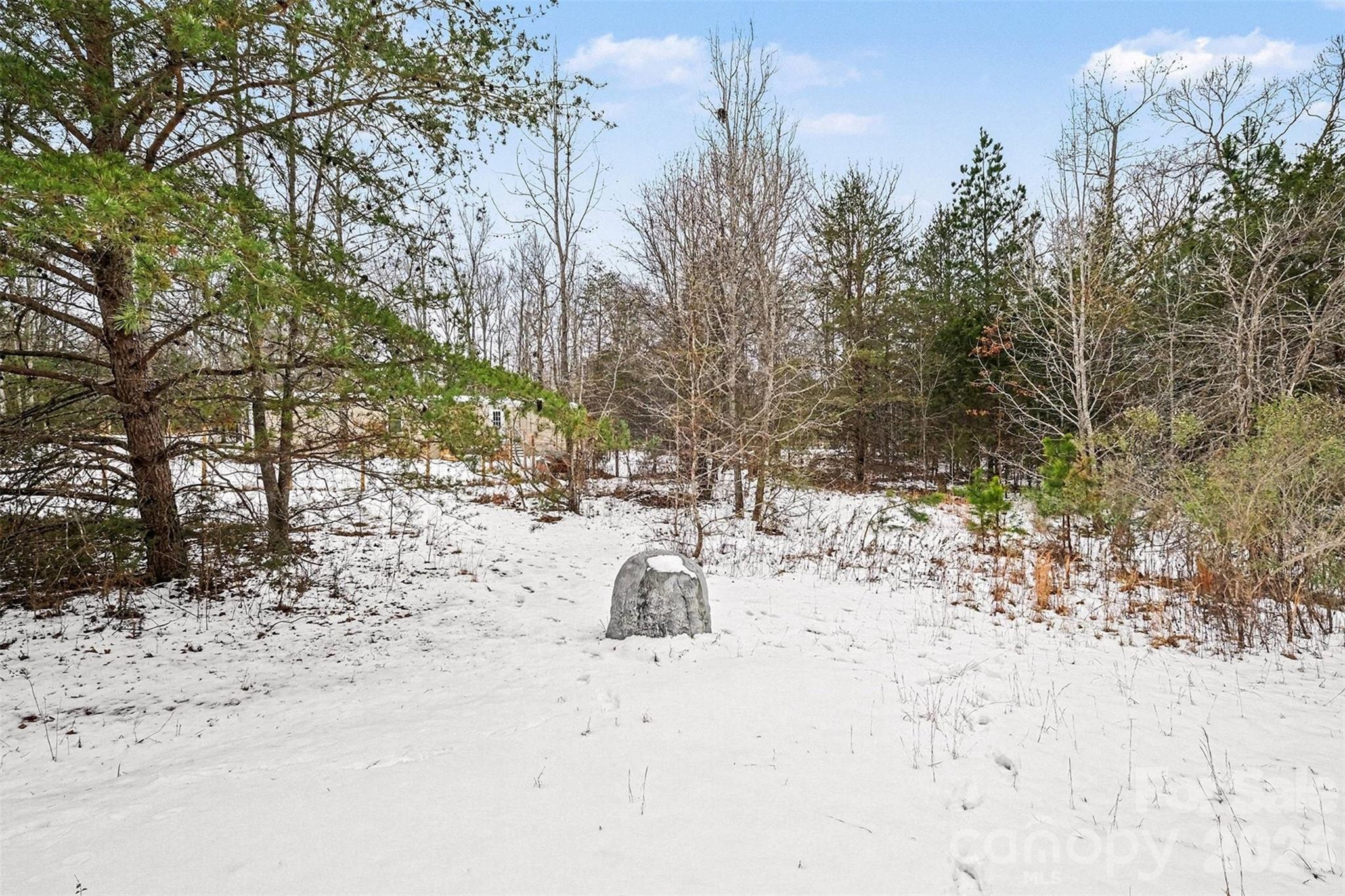 1846 Apple Blossom Road York, SC 29745 - Photo 24 of 30