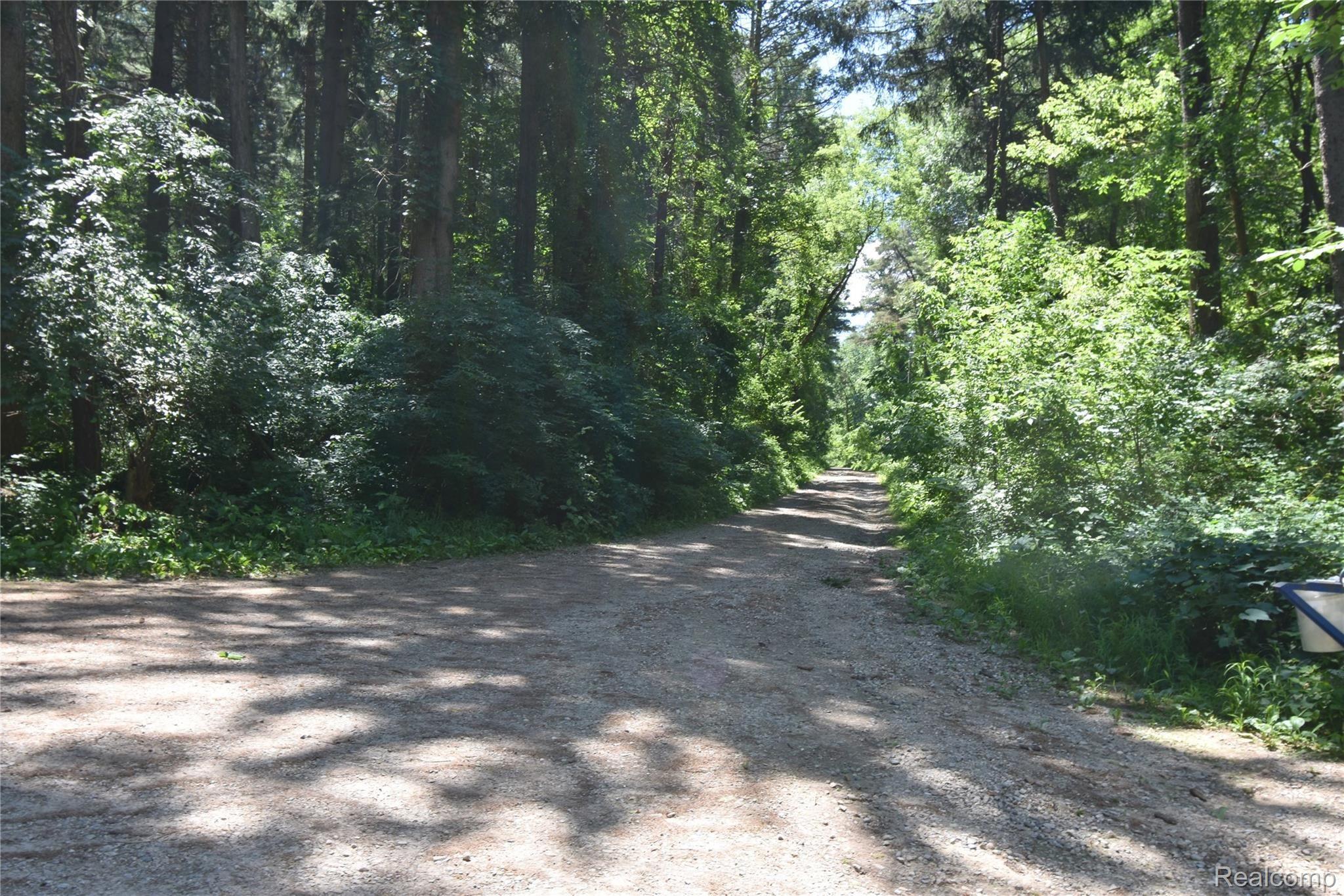 8081 Dexter-Pinckney Road Dexter, MI 48130 - Photo 25 of 28 23 PEACH MOUNTAN.JPG