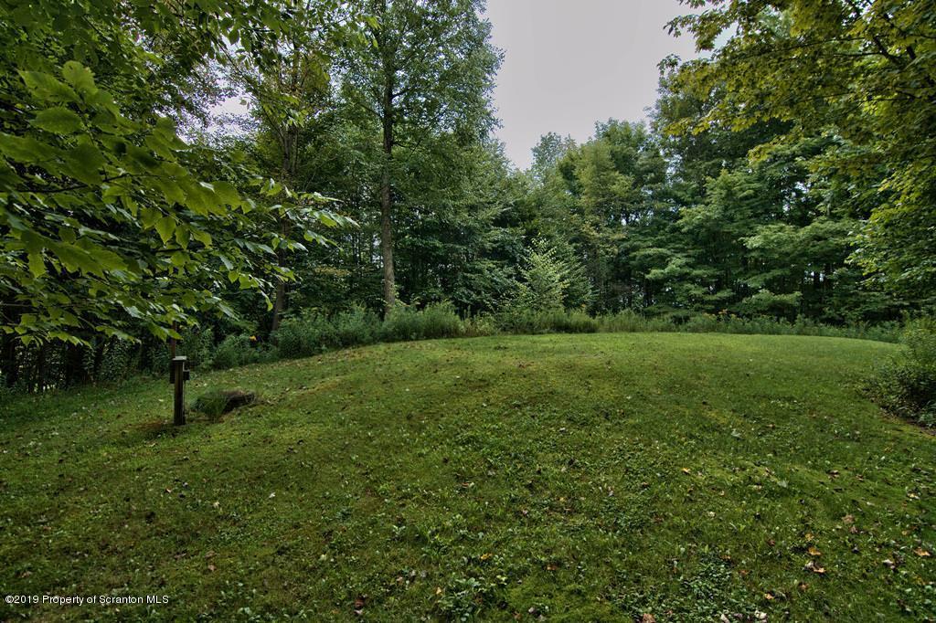 212 Summit Woods Road Moscow, PA 18444 - Photo 63 of 68 a view of a green field with lots of bushes