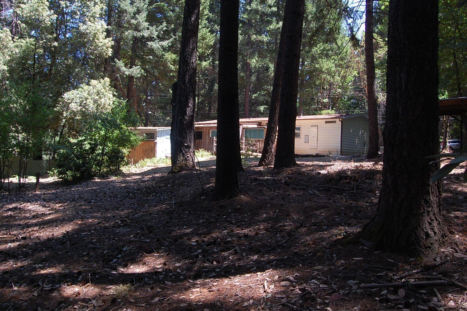 350 Hamilton Avenue Cave Junction, OR 97523 - Photo 20 of 23 a backyard of a house with lots of green space