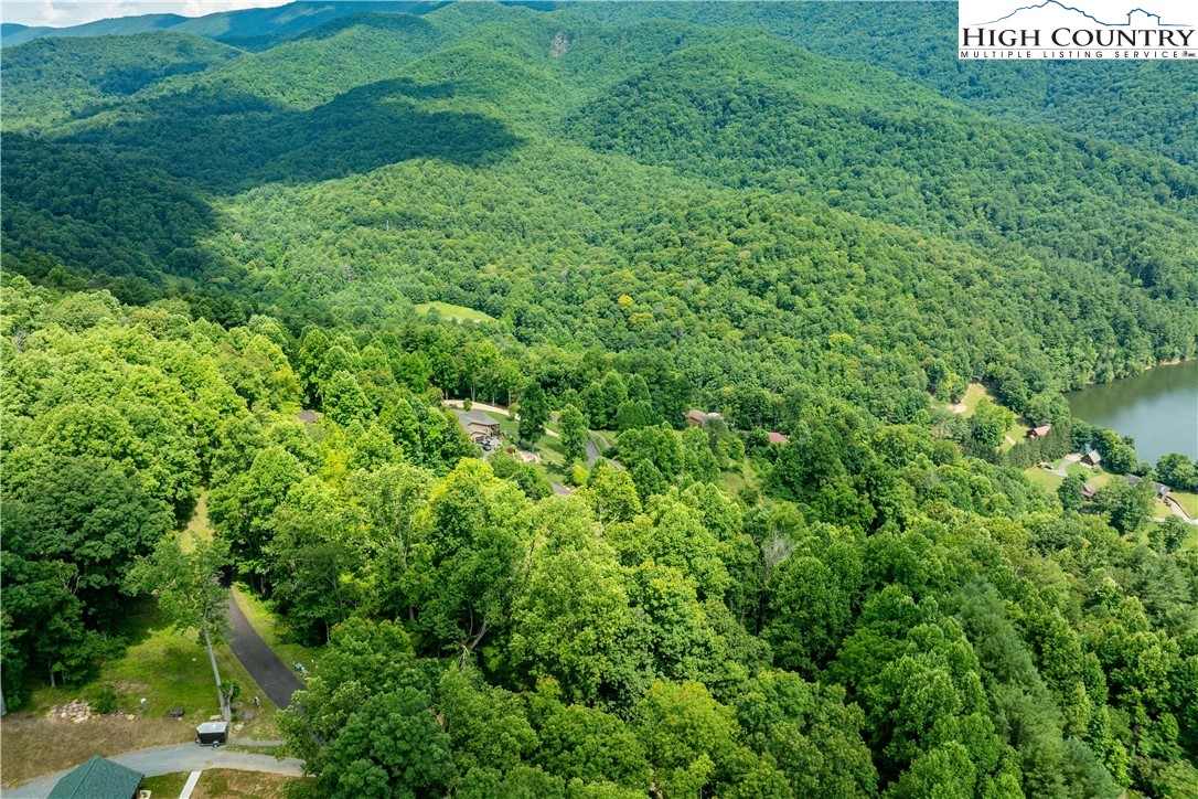 Lot 18 Lake Ridge Butler, TN 37640 - Photo 16 of 27 a view of a lush green forest