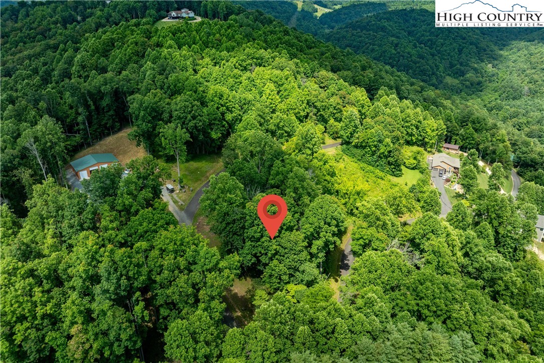 Lot 18 Lake Ridge Butler, TN 37640 - Photo 17 of 27 a view of a tree in a garden