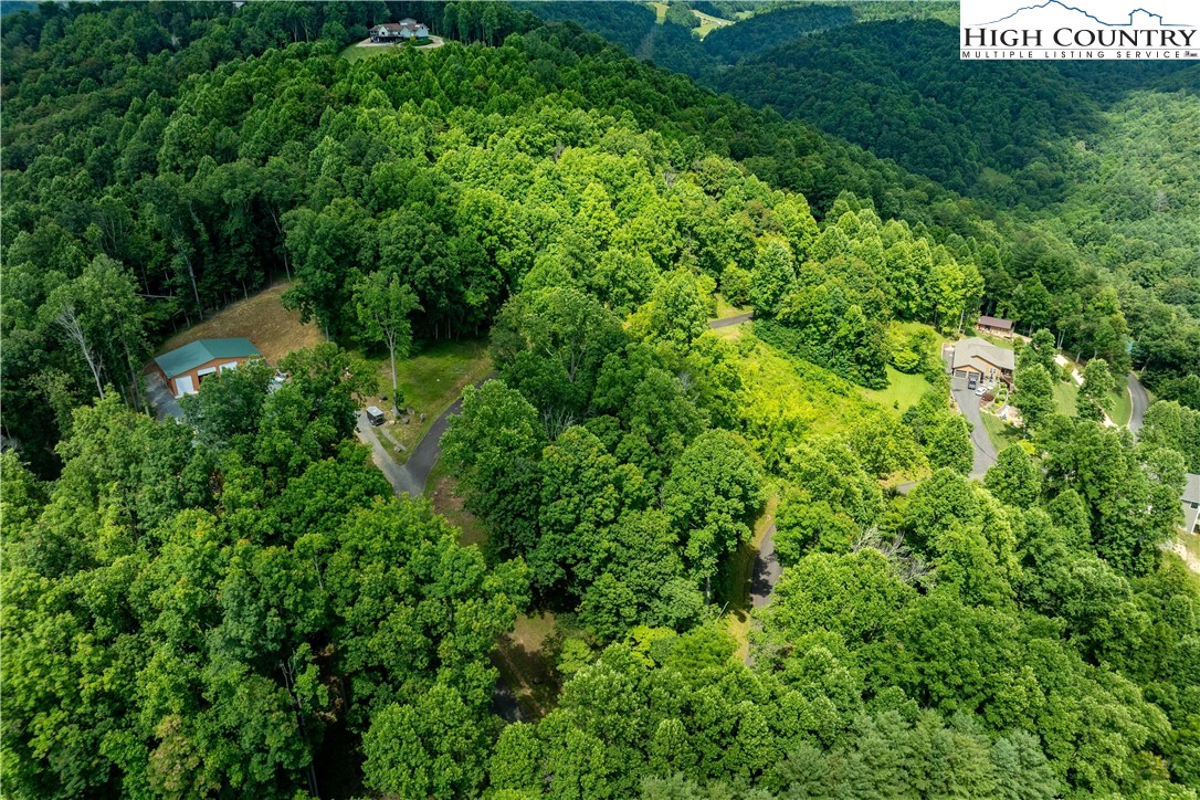 Lot 18 Lake Ridge Butler, TN 37640 - Photo 18 of 27 a view of a lush green forest with lawn chairs