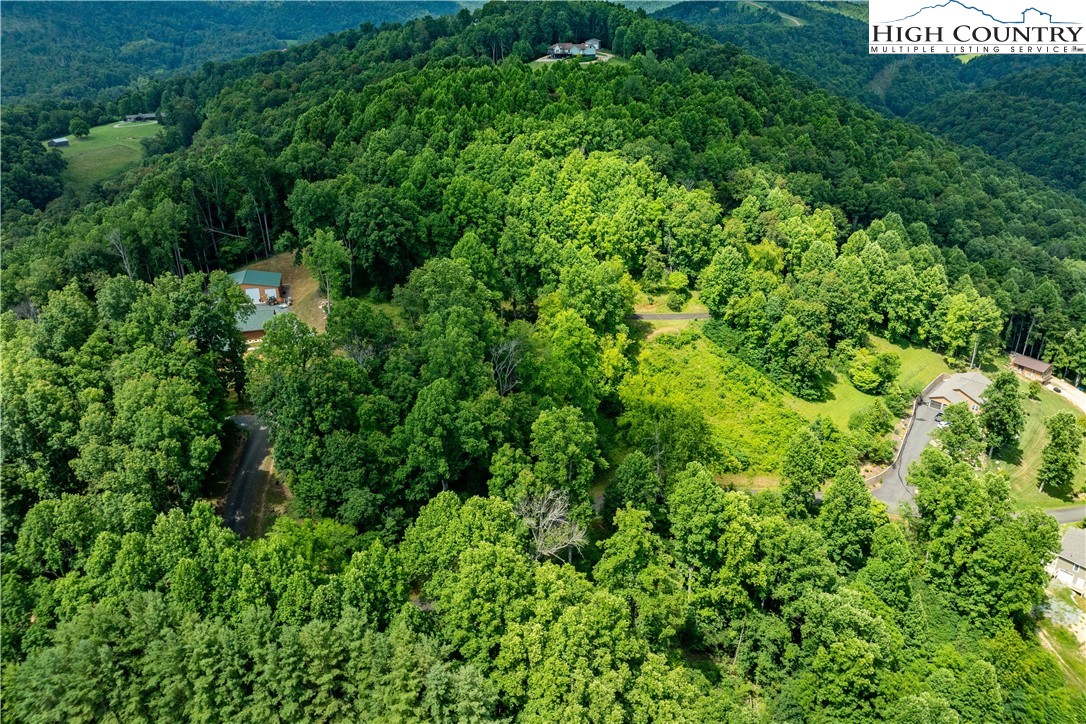 Lot 18 Lake Ridge Butler, TN 37640 - Photo 20 of 27 a view of a lush green forest