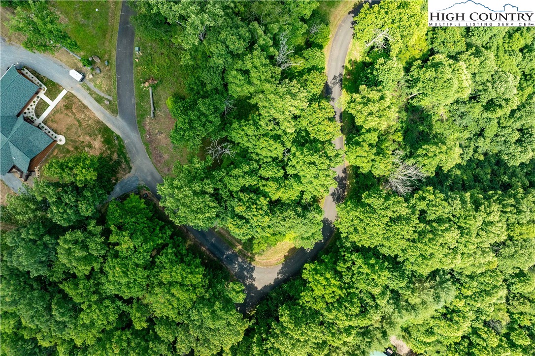 Lot 18 Lake Ridge Butler, TN 37640 - Photo 2 of 27 a view of a garden