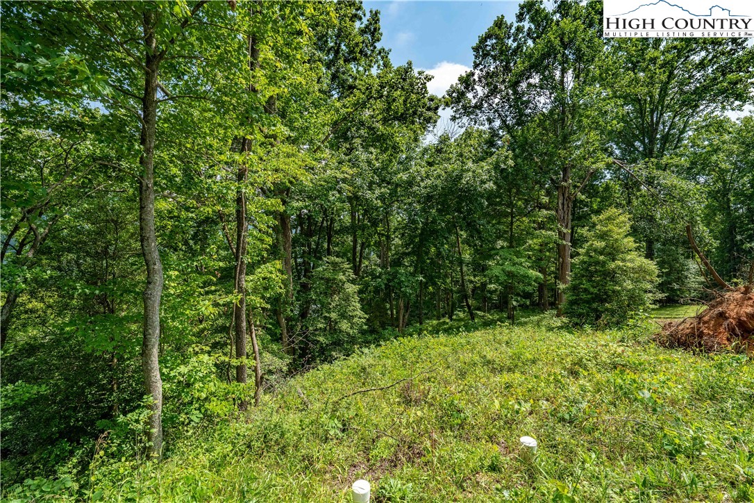 Lot 18 Lake Ridge Butler, TN 37640 - Photo 23 of 27 a view of outdoor space and green space