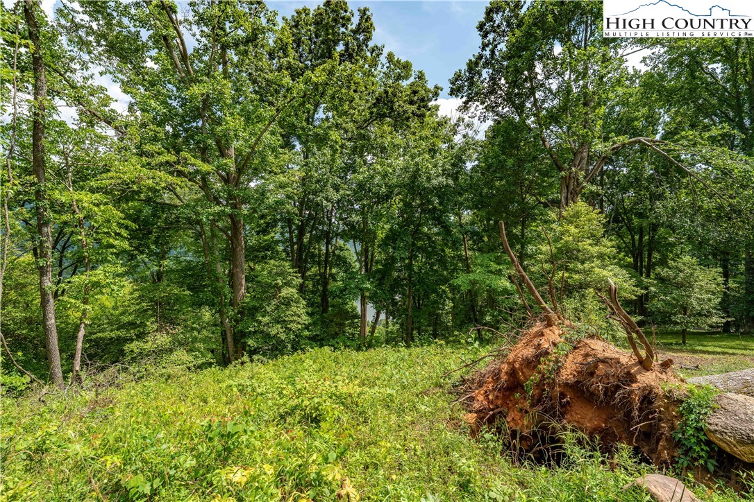 Lot 18 Lake Ridge Butler, TN 37640 - Photo 24 of 27 a view of a lush green forest