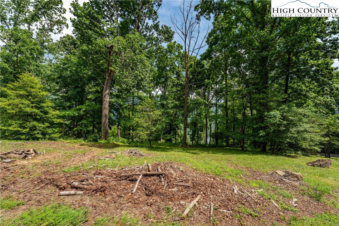 Lot 18 Lake Ridge Butler, TN 37640 - Photo 25 of 27 a view of a field with trees in the background