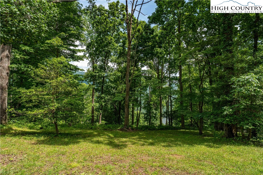 Lot 18 Lake Ridge Butler, TN 37640 - Photo 26 of 27