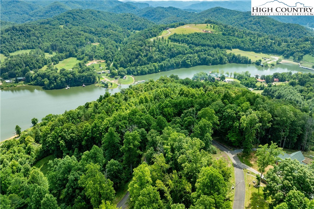 Lot 18 Lake Ridge Butler, TN 37640 - Photo 10 of 27 an aerial view of green landscape with trees houses and lake view