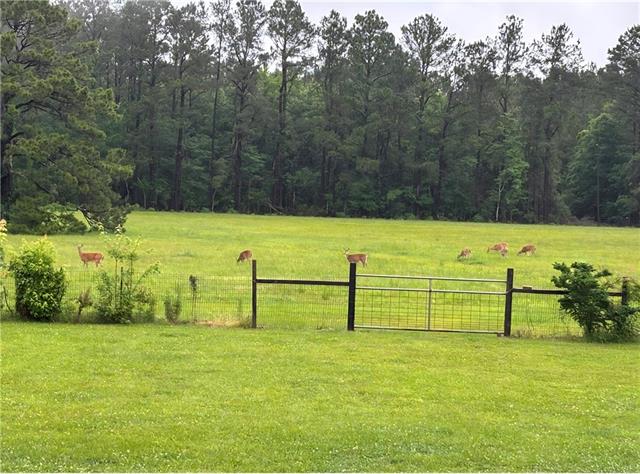 22435 Hoffman Road Mandeville, LA 70471 - Photo 55 of 55
