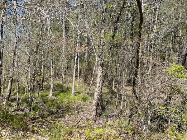 $469,000 | 0 County Road 3222, Ethel, MS 39067