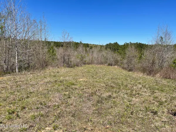 $469,000 | 0 County Road 3222, Ethel, MS 39067