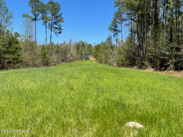 $469,000 | 0 County Road 3222, Ethel, MS 39067