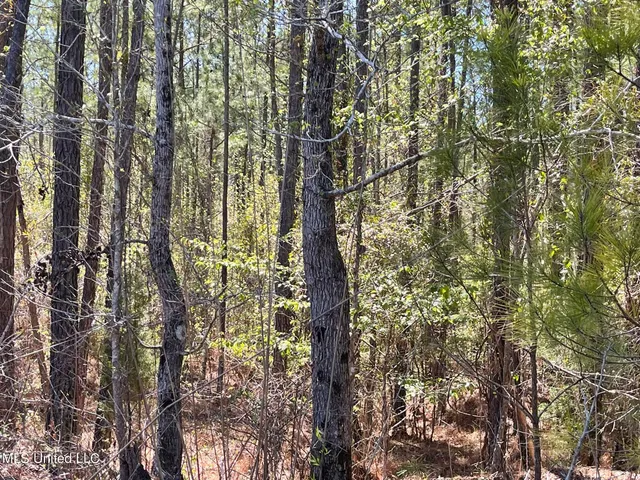$469,000 | 0 County Road 3222, Ethel, MS 39067