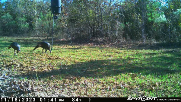 $469,000 | 0 County Road 3222, Ethel, MS 39067