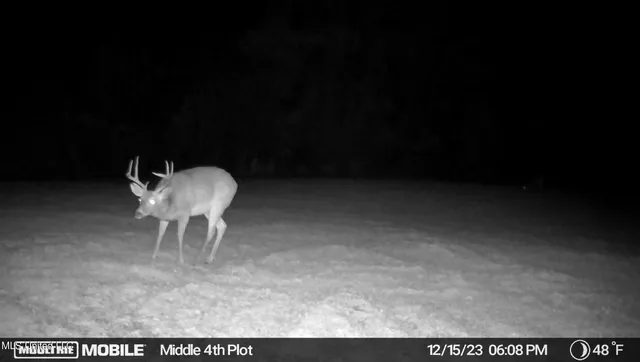 $469,000 | 0 County Road 3222, Ethel, MS 39067