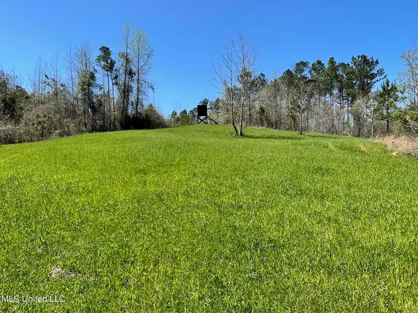$469,000 | 0 County Road 3222, Ethel, MS 39067
