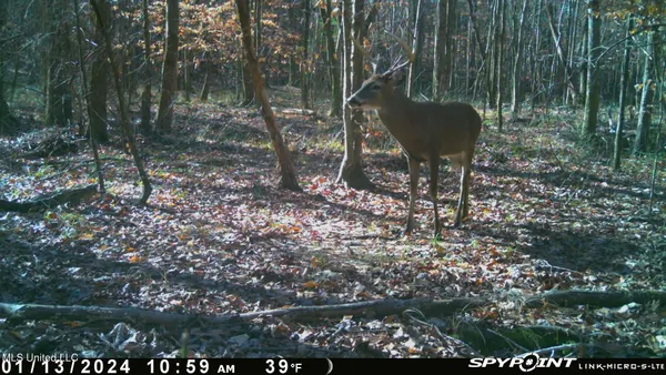 $469,000 | 0 County Road 3222, Ethel, MS 39067