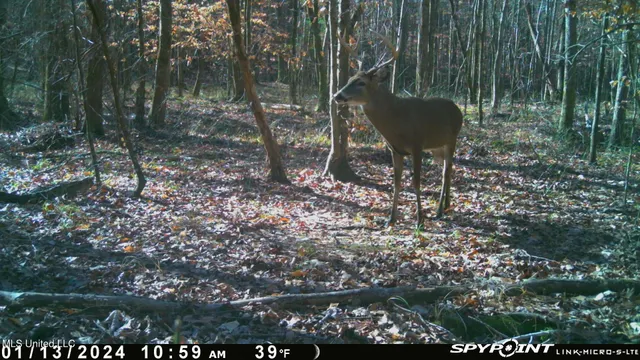 $469,000 | 0 County Road 3222, Ethel, MS 39067