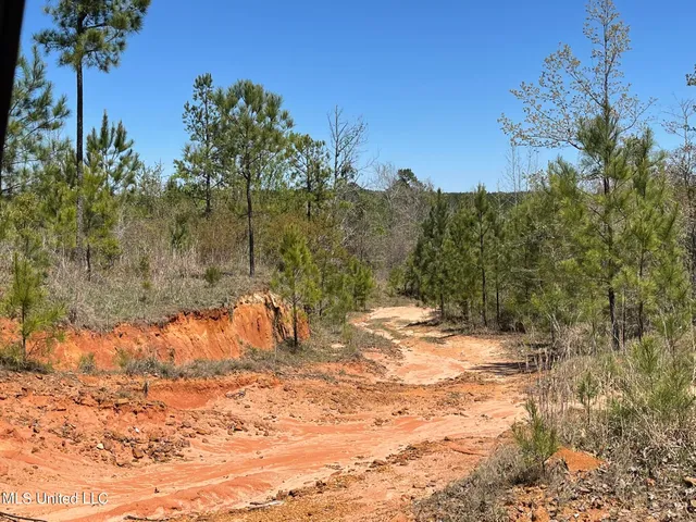 $469,000 | 0 County Road 3222, Ethel, MS 39067