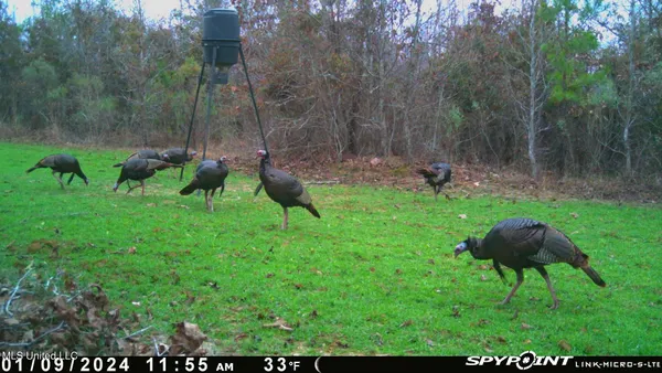 $469,000 | 0 County Road 3222, Ethel, MS 39067