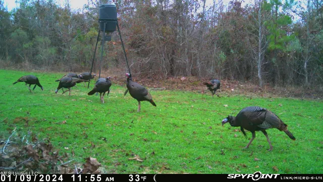 $469,000 | 0 County Road 3222, Ethel, MS 39067