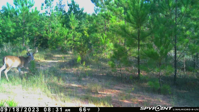 $469,000 | 0 County Road 3222, Ethel, MS 39067