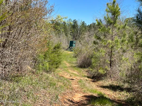 $469,000 | 0 County Road 3222, Ethel, MS 39067