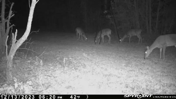 $469,000 | 0 County Road 3222, Ethel, MS 39067