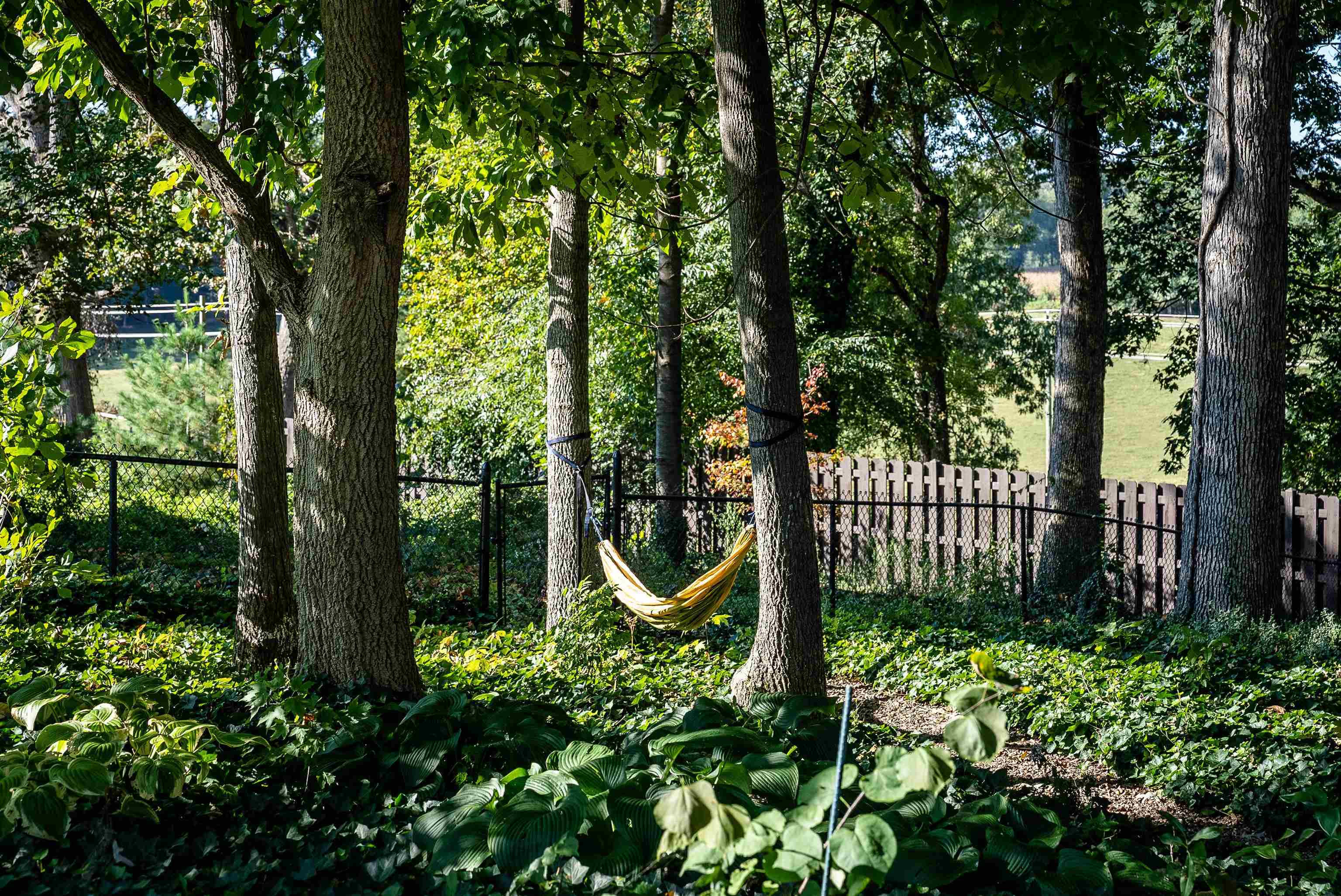 2514 Ridgedale Road Harrisonburg, VA 22801 - Photo 46 of 59 Gallery Image 46