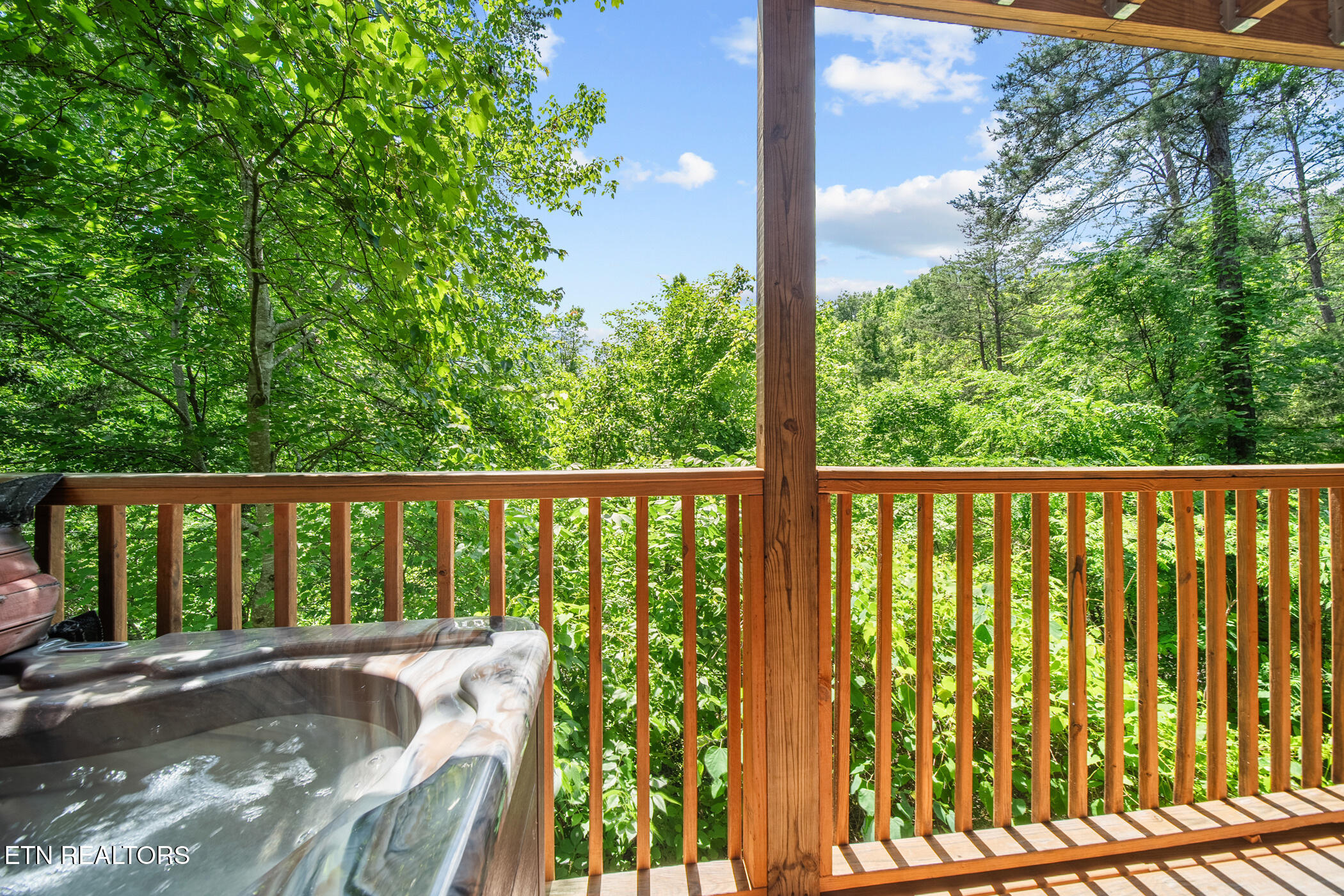 2713 Alps Way Pigeon Forge, TN 37863 - Photo 32 of 52 dsc04402