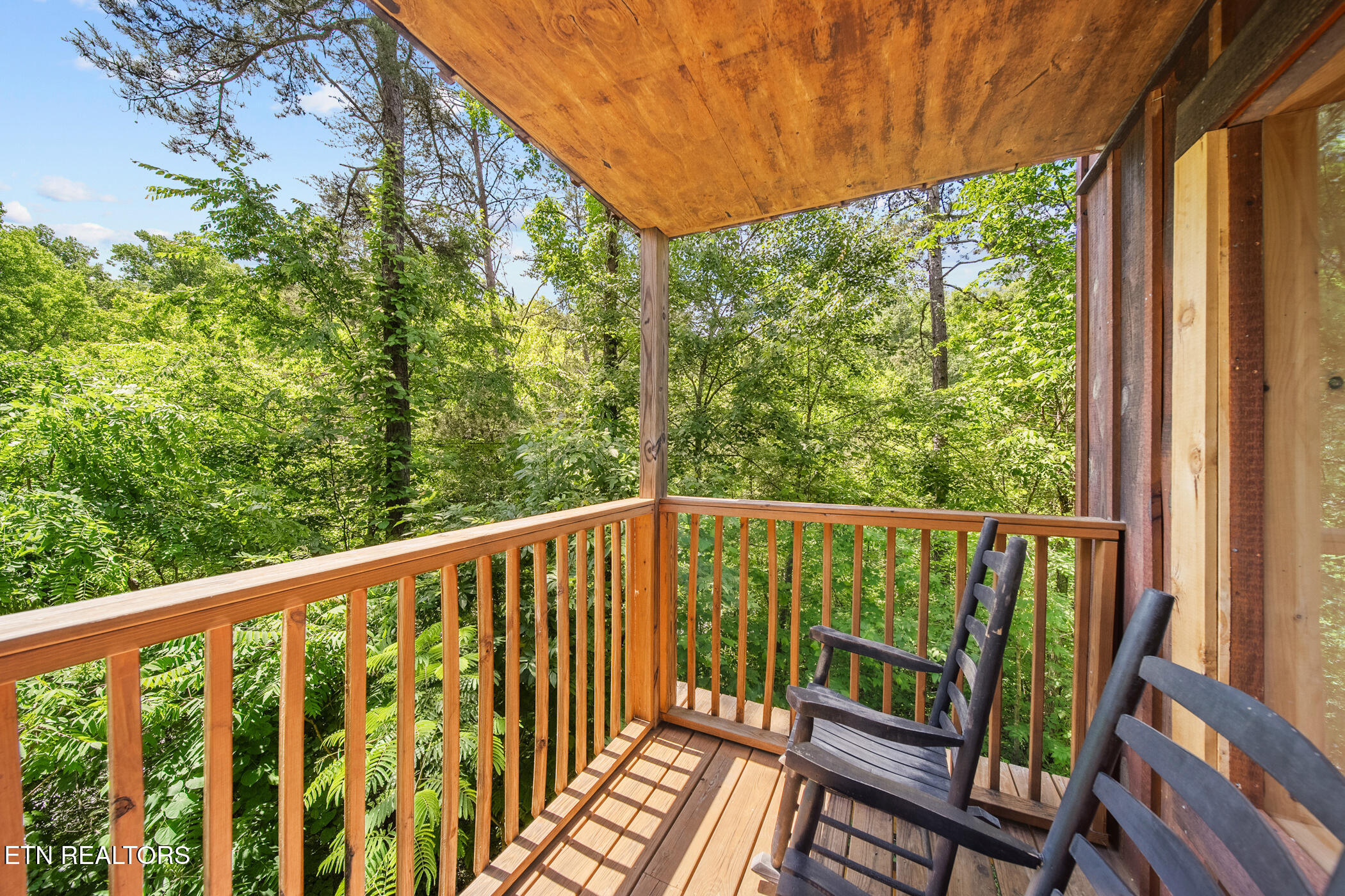 2713 Alps Way Pigeon Forge, TN 37863 - Photo 36 of 52 dsc04392